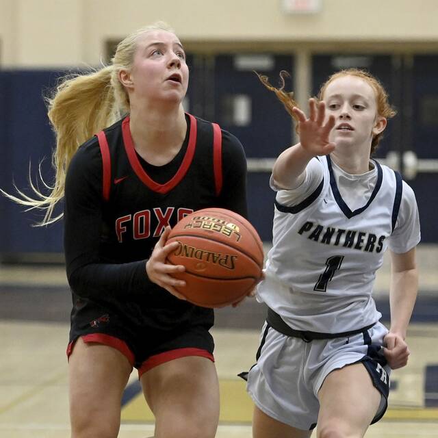 Fox Chapel girls set new standards during playoff season