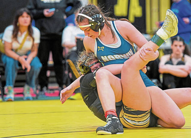North Allegheny girls wrestling program takes solid steps forward