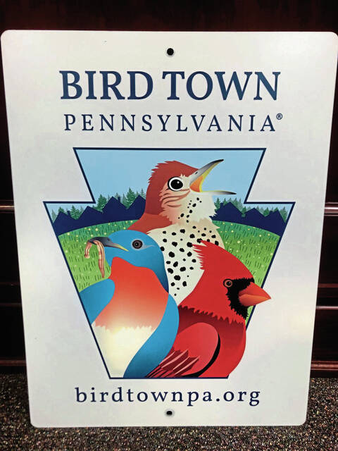 8231126_web1_HER-FoxBirdTown2-010925
