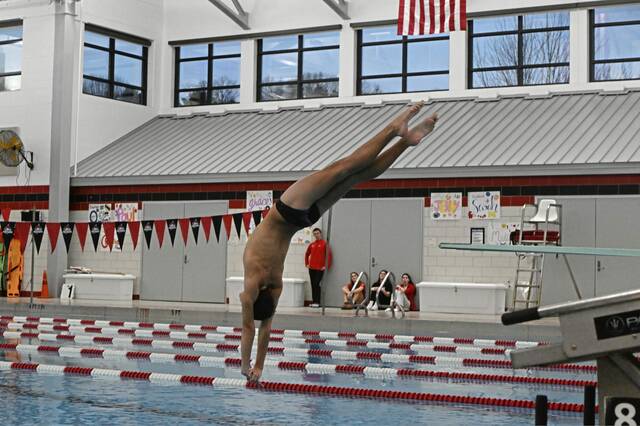 Jackson Hagler leads strong contingent of Fox Chapel divers at WPIAL championships