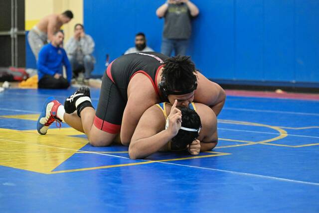 Fox Chapel’s D’Angelo Hamilton earns spot at PIAA West Region tournament