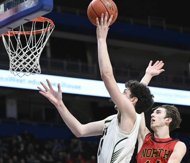 Seeds finalized for WPIAL boys basketball teams in PIAA playoffs