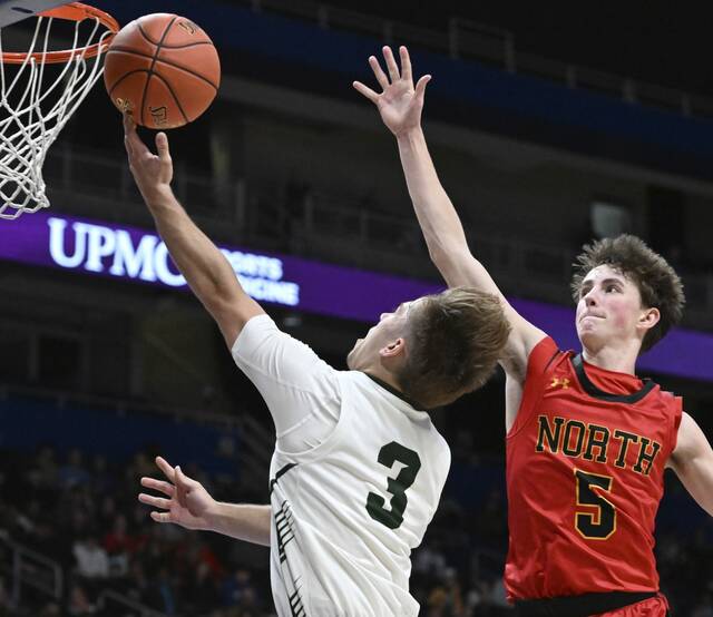 Trib HSSN boys basketball team of the week for March 2, 2025<span class="headline-video">Video <i class="fa-solid fa-circle-play"></i></span>