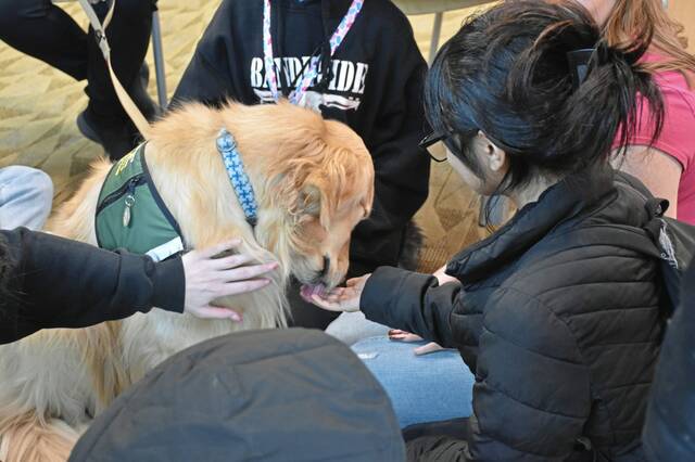 8275964_web1_php-TherapyDogs-031325--2-