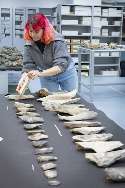 8277460_web1_8277460-89d1fb5038c64c31a621ceb0651fa498