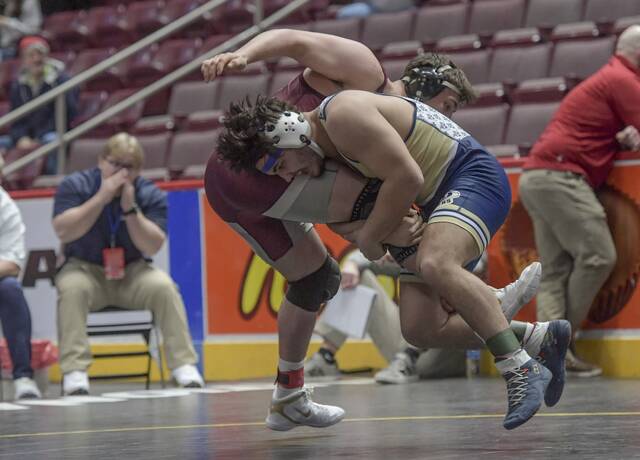 WPIAL sends 14 wrestlers to PIAA Class 3A semifinals, including all 4 at 215 pounds
