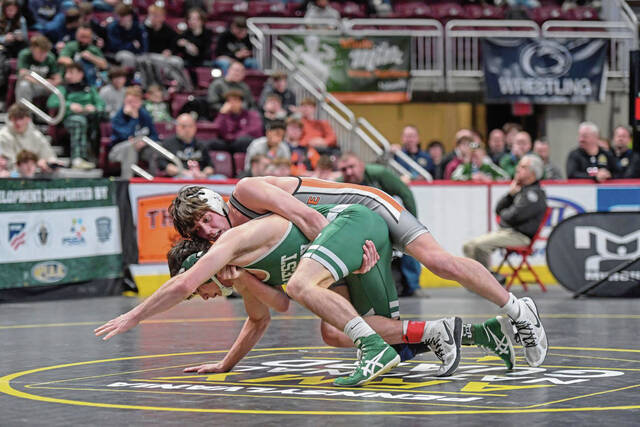 Latrobe’s Willochell back in the PIAA 3A wrestling finals after 2-year hiatus