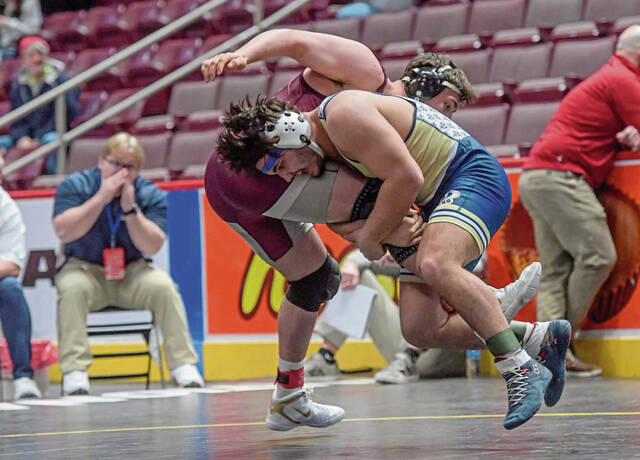 8289693_web1_PTR-PIAAwrestling407-030825