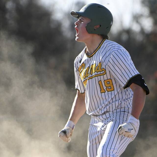 2025 WPIAL Class 5A baseball preseason breakdown