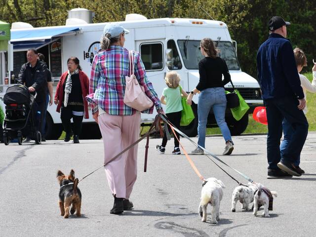 8290849_web1_Pine-Earth-Day---Dog-Lady--1-_Sq