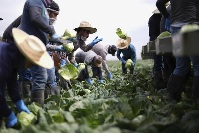 8292981_web1_8292981-f8143efd755b4c5b8b79a5d66c8e2965