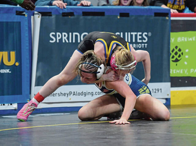 8293575_web1_PTR-PIAAwrestling507-030825 8293575_web1_PTR-PIAAwrestling507-030825