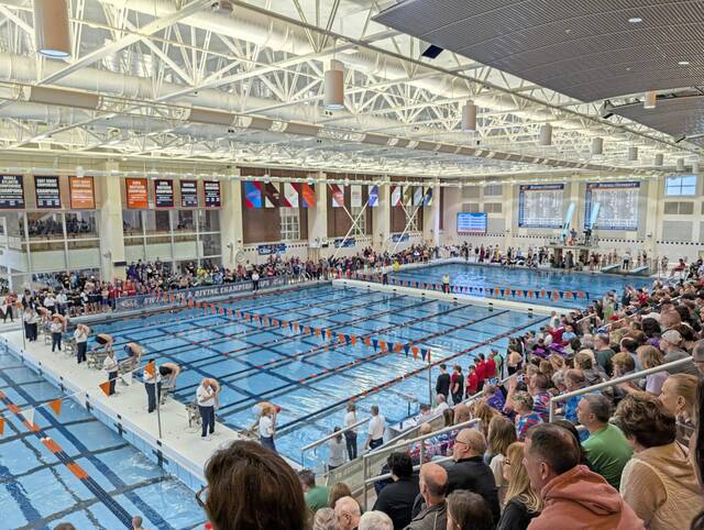 WPIAL swimmers earn top seeds in 9 events for PIAA Class 2A Day 1 finals