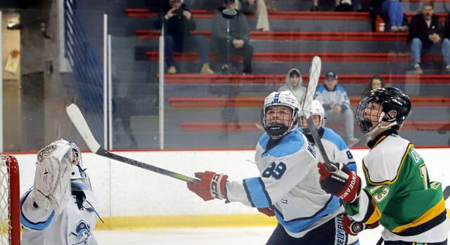 Burrell blasts past rival Deer Lakes in 3rd period to reach PIHL Division 2 finals