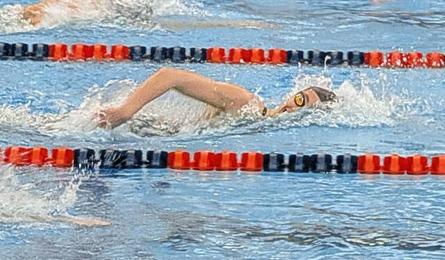 ‘Dream come true’ as Fox Chapel’s Sarah Pasquella wins state swimming gold in 200 free
