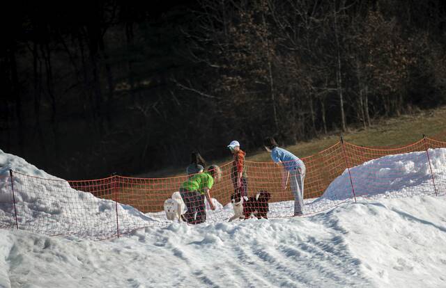 8308732_web1_PTR-DogSnowDay1