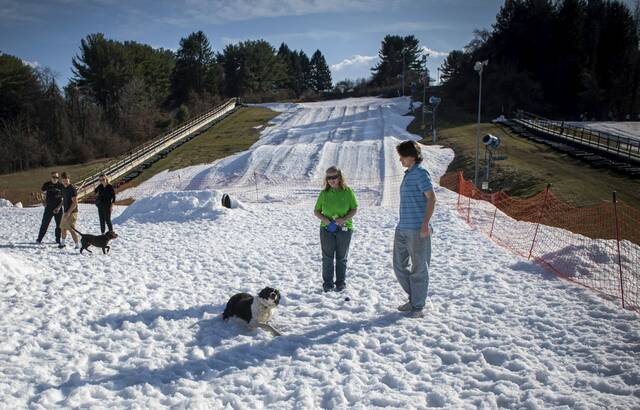 8308732_web1_PTR-DogSnowDay7