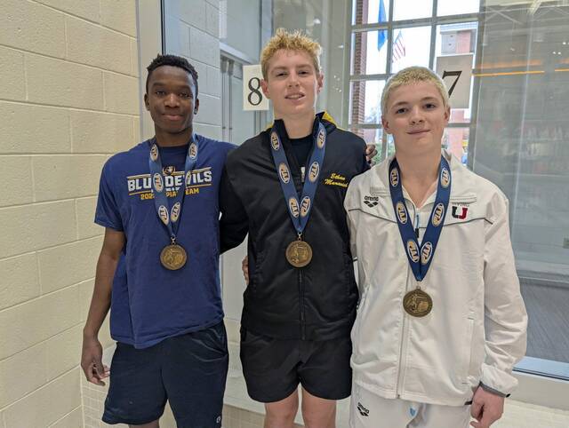 3 WPIAL Class 3A boys divers earn PIAA medals