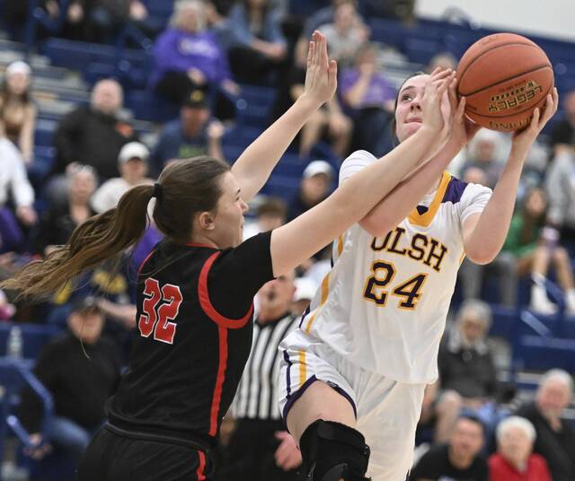 6 WPIAL girls basketball teams set for PIAA semifinal matchups