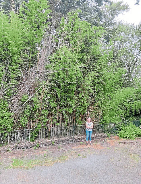 8318743_web1_gtr-invasives-Walborn2-032325