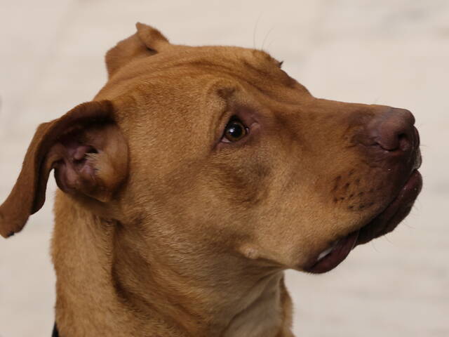 8337060_web1_1-LeoPortrait