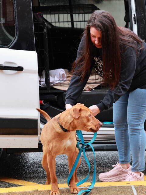 8337060_web1_4-LeoArrives