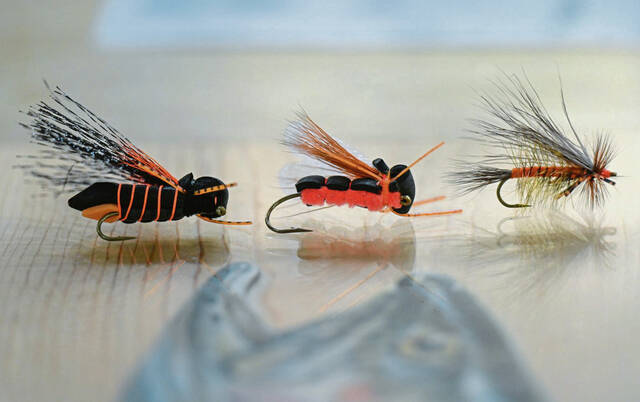 8358738_web1_vnd-TroutSeason101-040325