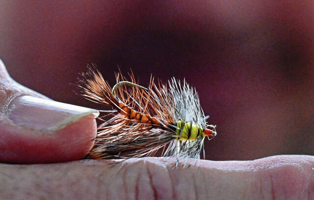 8358738_web1_vnd-TroutSeason103-040325