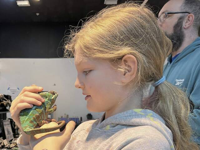 8358820_web1_vnd-reptileshow-040725-1-