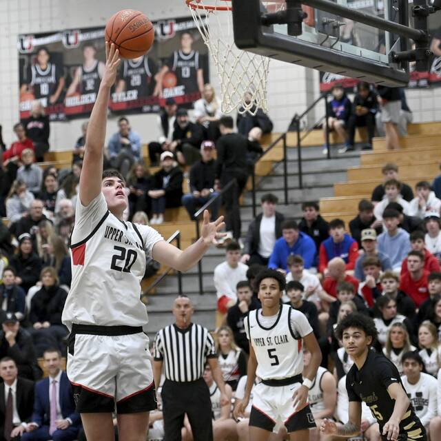 Trib HSSN Head of the Class: 2025 WPIAL boys basketball players of the year