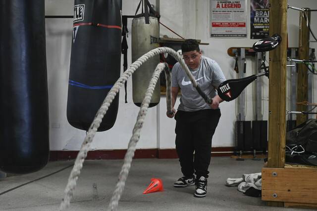 8367712_web1_her-SharpBoxing011-041025