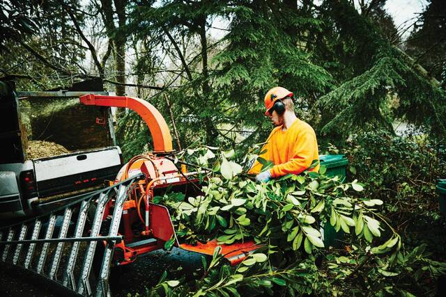 8375350_web1_php-treetrimming-040525
