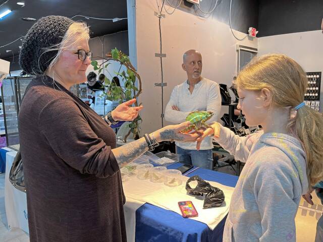 8379318_web1_vnd-reptileshow4-040725