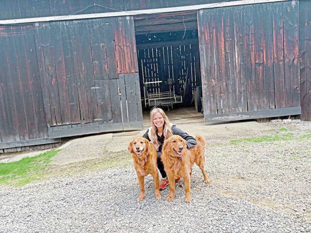 8406743_web1_sew-BarkBarn-18 8406743_web1_sew-BarkBarn-18