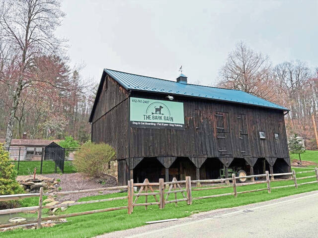 8406743_web1_sew-BarkBarn-9 8406743_web1_sew-BarkBarn-9