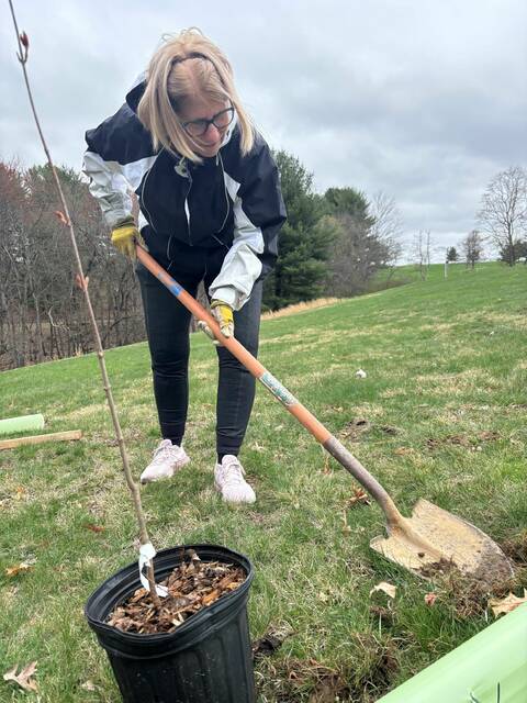 8407687_web1_naj-LongvueTreePlanting10-042425