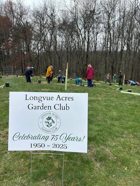 8407687_web1_naj-LongvueTreePlanting2-042425