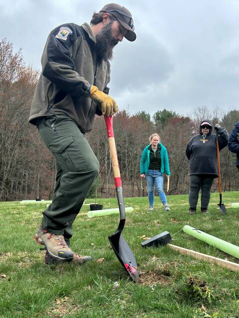 8407687_web1_naj-LongvueTreePlanting4-042425