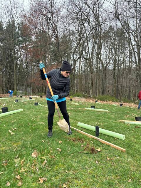 8407687_web1_naj-LongvueTreePlanting7-042425