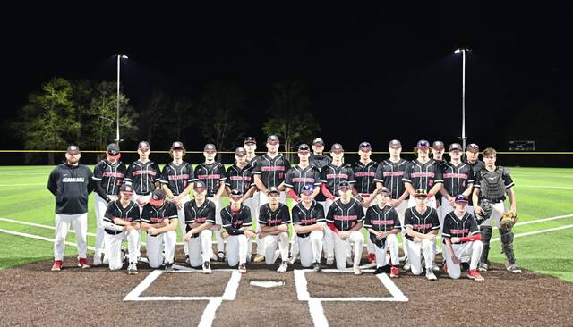 Trib HSSN baseball team of the week for April 17, 2025<span class="headline-video">Video <i class="fa-solid fa-circle-play"></i></span>