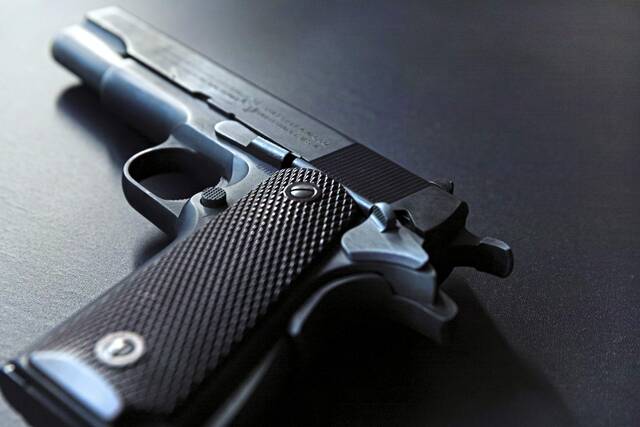 8420713_web1_web-gun10