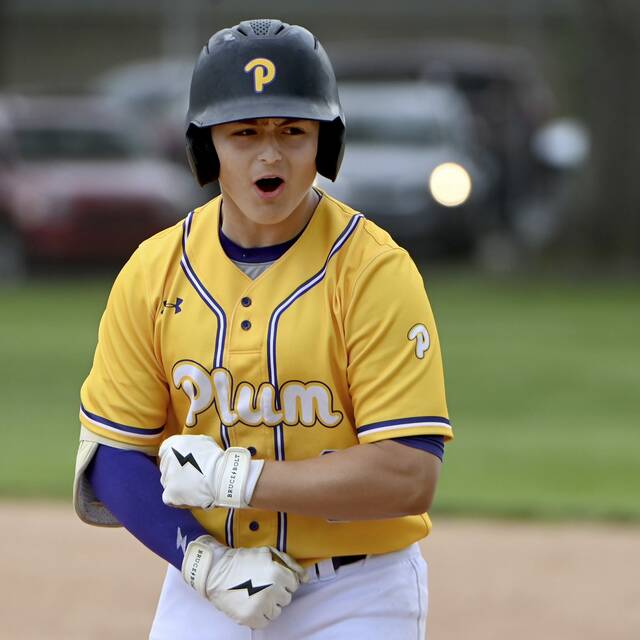 High school roundup for April 29, 2025: Plum completes section series sweep