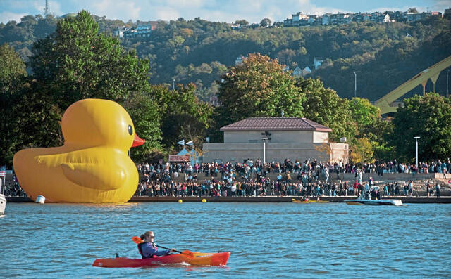 8454468_web1_ptr-byeduck6-102113