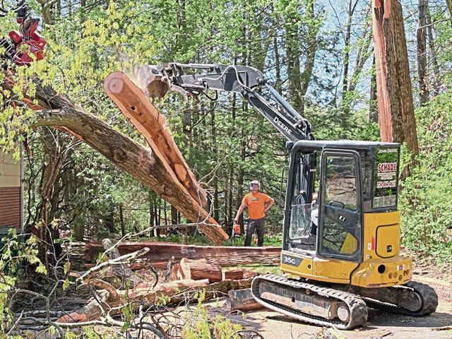 8456914_web1_gtr-TreeUnity2-050125