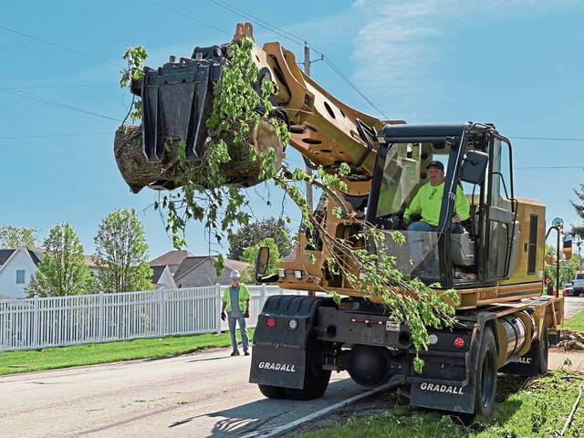 8456914_web1_gtr-TreeUnity6-050125