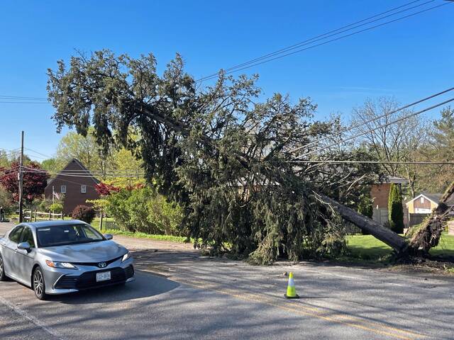 8457193_web1_ptr-stormJH01-050125