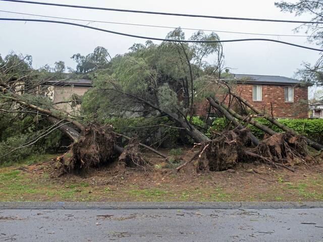 8457799_web1_ptr-stormZG04-043025