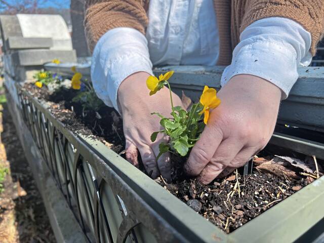 8368775_web1_sew-garden-041725-2