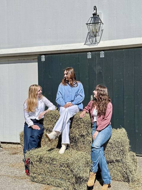 8435956_web1_sew-Hay