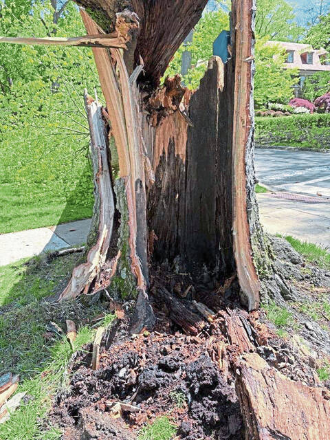 8458463_web1_sew-StormDamage-1